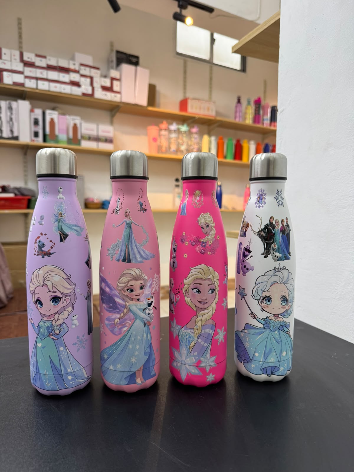 Frozen Vaccum Bottles 500 ml
